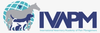 Final - Ivapm Logo