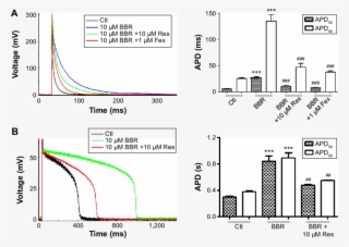 Reverse Effects Of Resveratrol And Fexofenadine On - Diagram