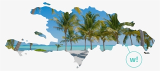 Dominican Republic - Roystonea