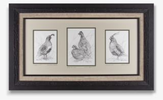 Copyright Ryan Kirby Framed Quail Sketches Small - Picture Frame