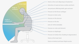 Standing All Day Or Sit Stand Is Not The Optimum Solution - Office Chair