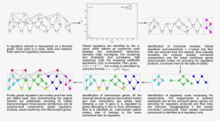 The Natural Decomposition Approach