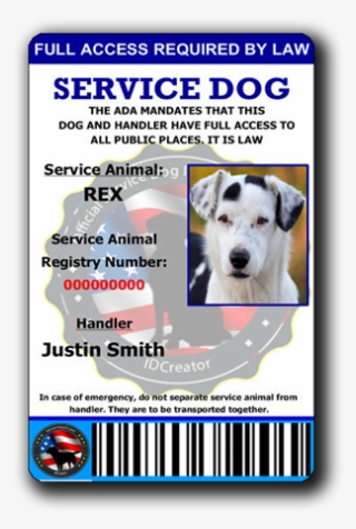 Service Dog