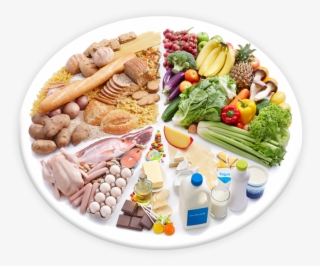 Food Of Animal Origin