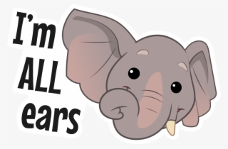 Wwf 🐼verified Account - I M All Ears Elephant