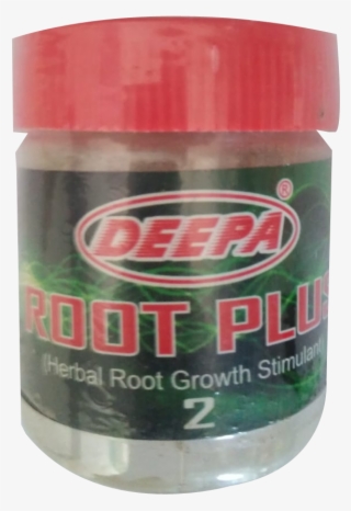 Root - Acrylic Paint