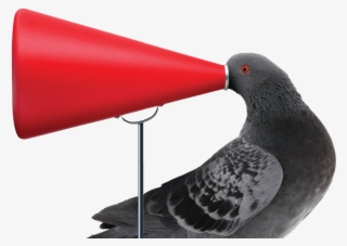 Join Now And Instantly Go Into The Draw To Win A $5000 - Stock Dove