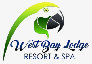 Logowebn Logowebn Logowebn Logowebn