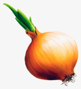 Onion Png Free Download - Детей Лук