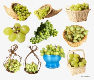 Free Png Green Grapes Png Images Transparent - Seedless Fruit