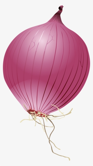 Single Onion Png Photo - Cartoon Red Onion