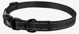 Everyday Nylon Collar - Bracelet