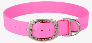 Buckle