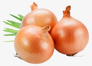 Onion Png Image - Fresh Onions
