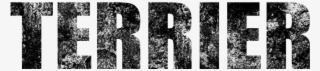 Terrier - Monochrome