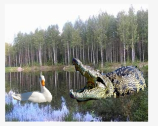 Collect This Art Michelleee - Bosque Monzónico