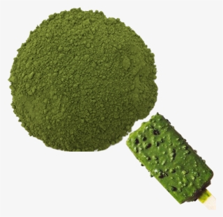 800 X 800 0 - Broccoli