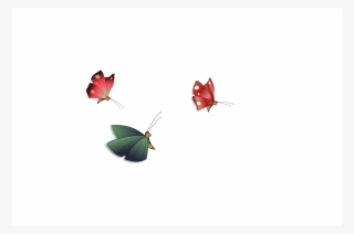 This Free Icons Png Design Of Butterflies Schmetterlinge