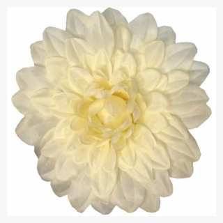 Giant Flower - Ivory Dahlia - Large 35cm - Adhesive - Dahlia