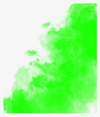 Holi Png - Tree