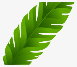 Leaf Clipart Coconut Tree - Banana Leaves Clip Art