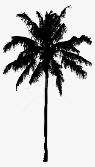 Free Png Palm Tree Silhouette Png Images Transparent - Palm Tree Silhouette Png