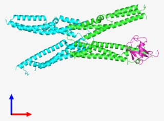 Pdb 4jio Coloured By Chain And Viewed From The Front - Illustration
