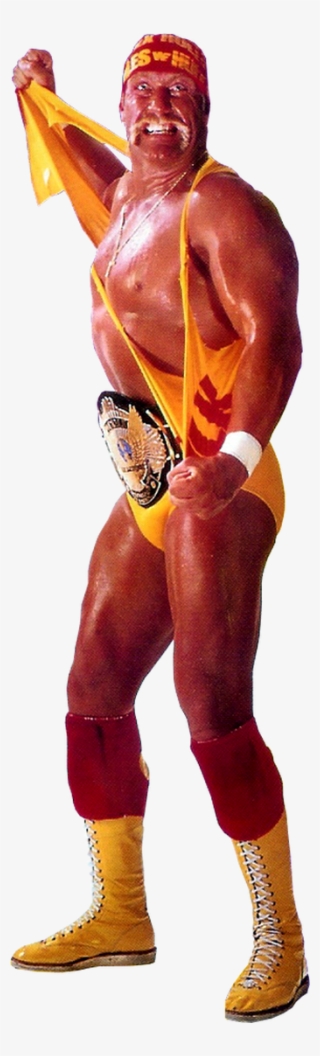 Seizing The Moment, Savage Climbed To The Top Turnbuckle, - Flash