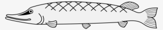 Details, Png, Svg - Fish Outline