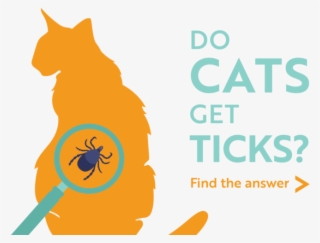 Do Cats Get Ticks Find The Answer - Cartoon