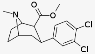 Rti-111 Orangechemicals - Com - Dichloropane