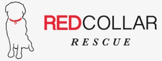 Redcollar Rescue Header Image - Carmine