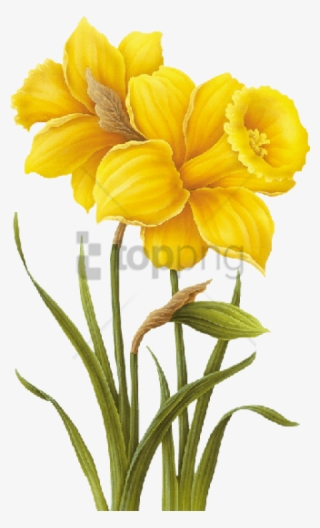 Free Png Yellow Flower Drawing Png Image With Transparent - Yellow Flower Drawing Png