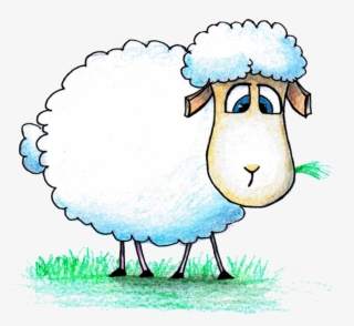 Paper Goat Al Drawing Transprent Aladha Png Ⓒ - Sheep