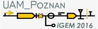 Logo - Graphic Design
