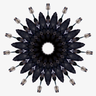 Sea Witch Of Gypsy Cove - Feather Circle