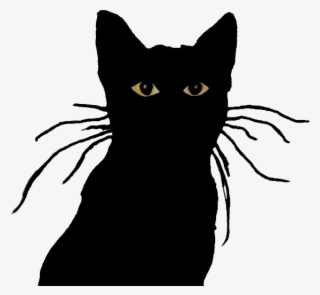 'half-life,' 'portal' Writer And Riot Dev Form Seattle - Black Cat