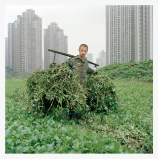 Wang Chengyun, A Chongqing Resident, Pauses For A Photograph - Tree