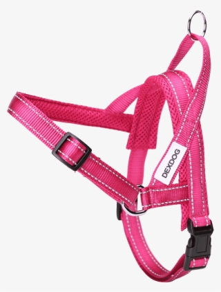 How To Fit Dog Harness - Pet Harness