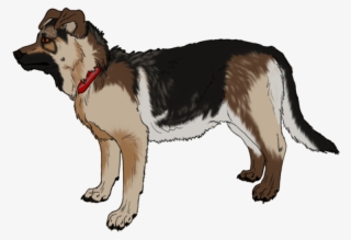 Go To Image - Dog Yawns