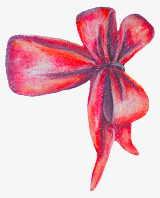 1024 X 1232 3 - Lily