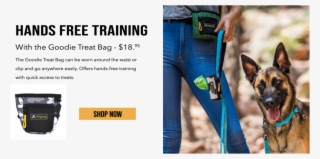 Available In 4 Colors And 3 Prints - Old German Shepherd Dog