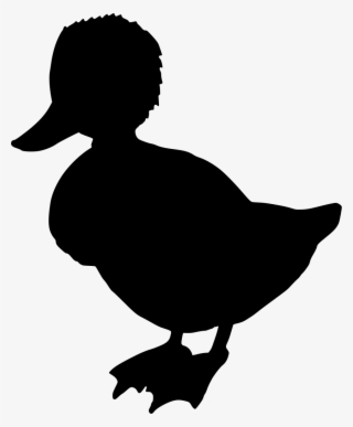 Download Png - Duck