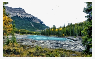 River, Mountains And Vegetation - Athabasca Falls