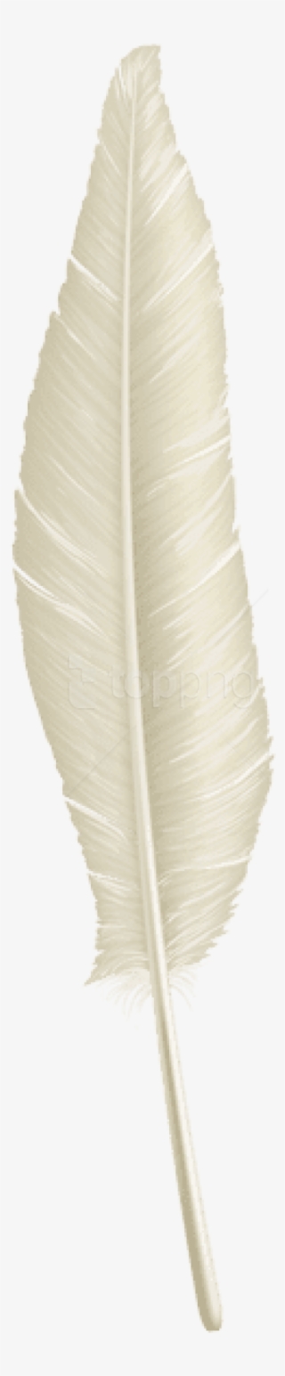 Free Png Download White Feather Transparent Clipart - Thread