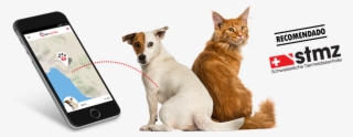 Petpointer Gps Tracking - Pet