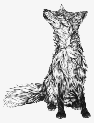 Tattoo Drawing Illustration Idea Download Hq Png - Black And White Fox Drawing