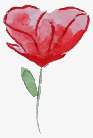 Flower Garden Roses Watercolor Painting Poppy Clip - Garden Roses