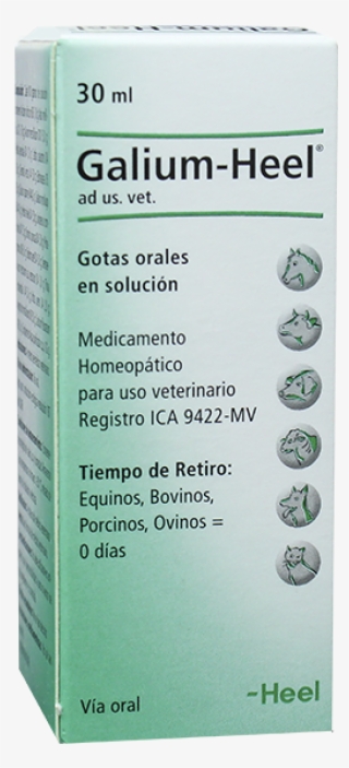 Galium Heel Vet Gotas 30 Ml - Heel