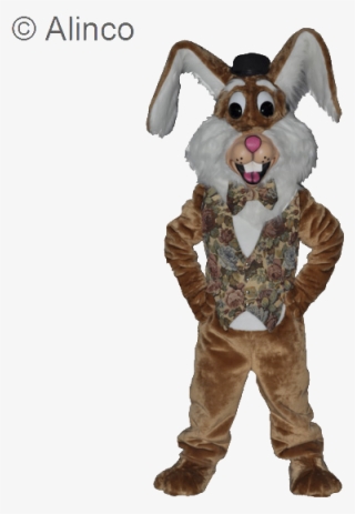 Harvey Rabbit Mascot Costume - Bagoloni